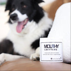 Mouthy Critters Teeth Wipes