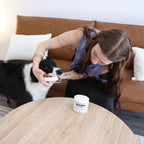 People + Critters Bundle